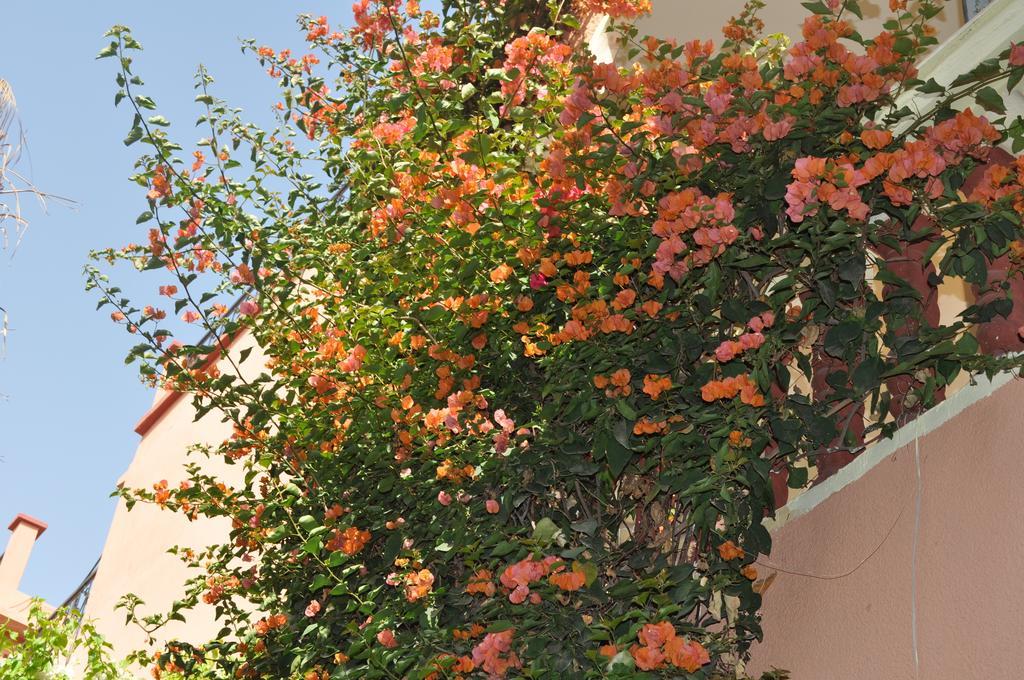 Zina Apartment Marrakesh Cameră foto